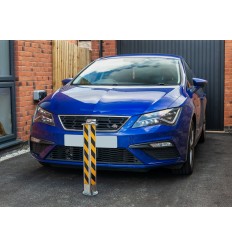 TP-100 Fully Telescopic Security Post