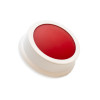 Wireless Panic System